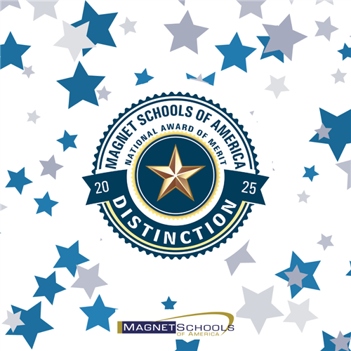 MSA Logo 